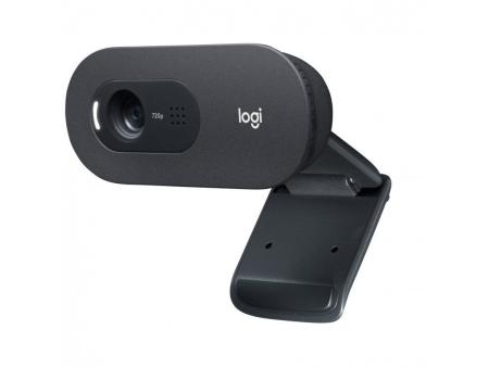 Webcam Logitech C505E/ 1280 x 720 HD