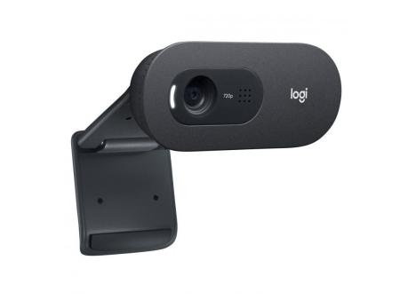 Webcam Logitech C505E/ 1280 x 720 HD