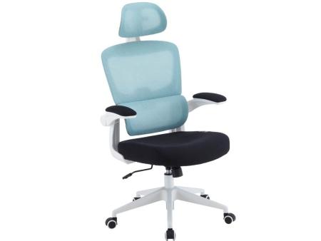 Silla Gaming Woxter Ergo/ Azul