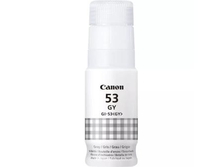 Botella de Tinta Original Canon GI-53/ Gris