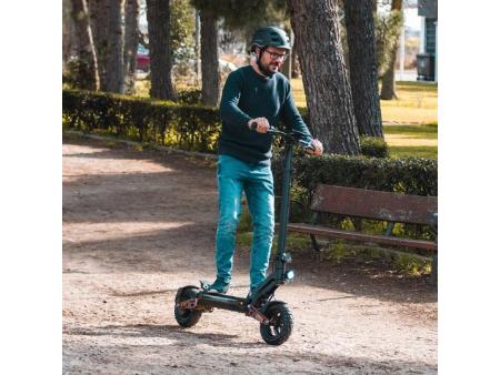 Patinete Eléctrico SmartGyro Ryder Certificado/ Motor 1000W/ Ruedas 10'/ 25km/h/ Autonomía 75km